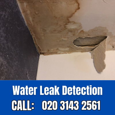 Expert Water Leak Detection Services in Hampton Hill | Hampton Hill Leak Detection